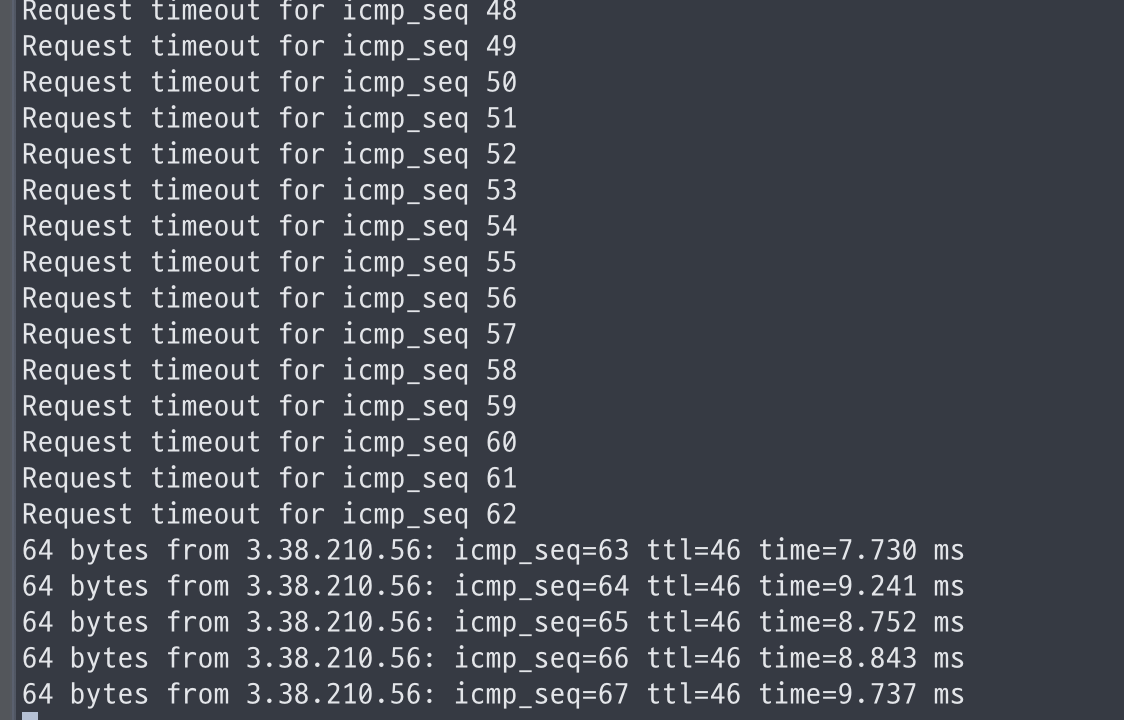 ping check