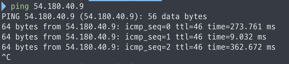 ping check