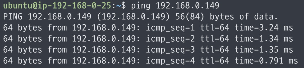 ping check