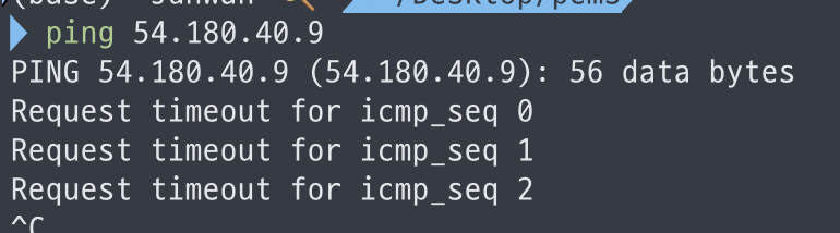 ping check